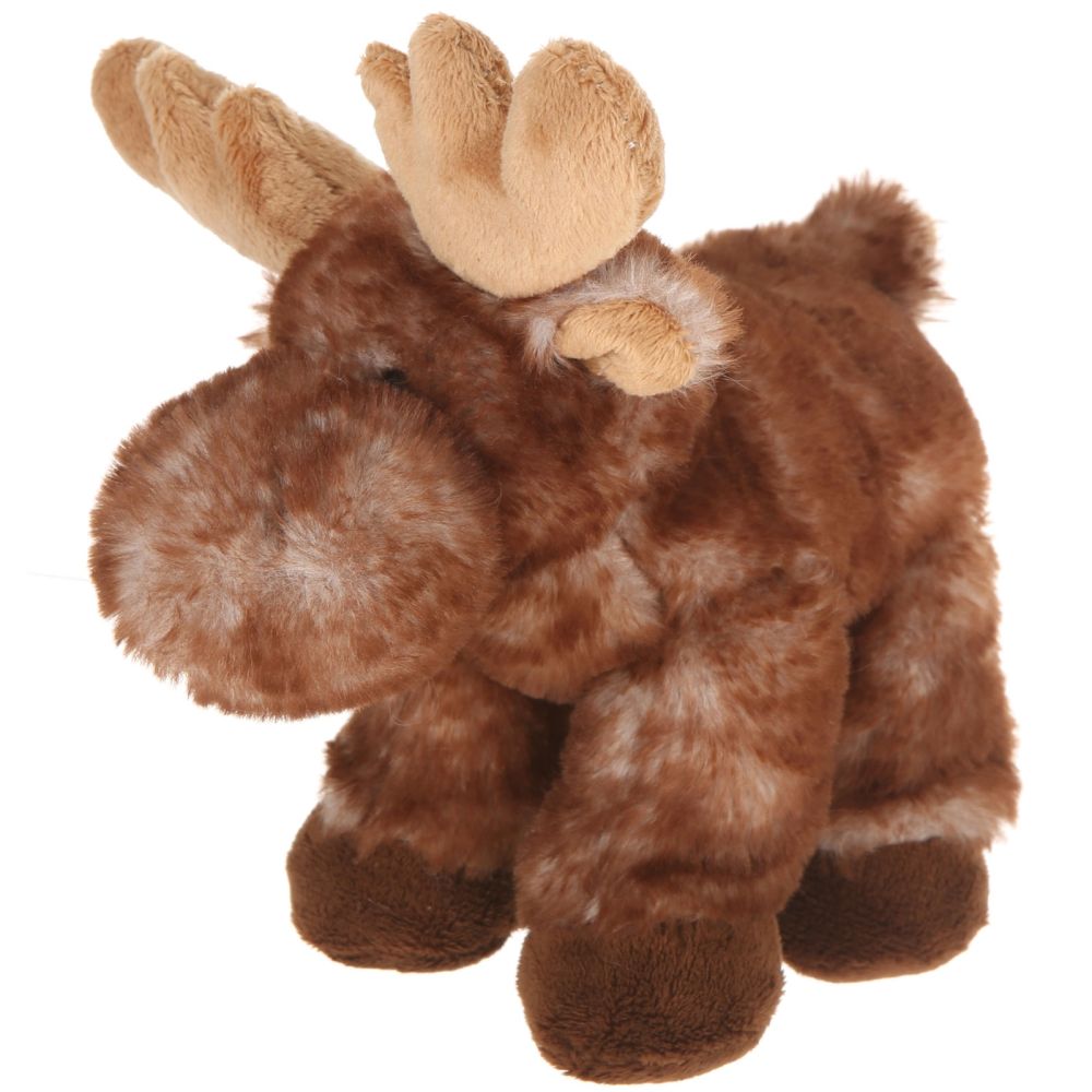 a00045-moose-4